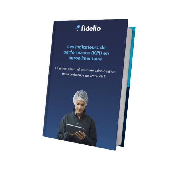 FR_mockup-KPI Guide_800px copy