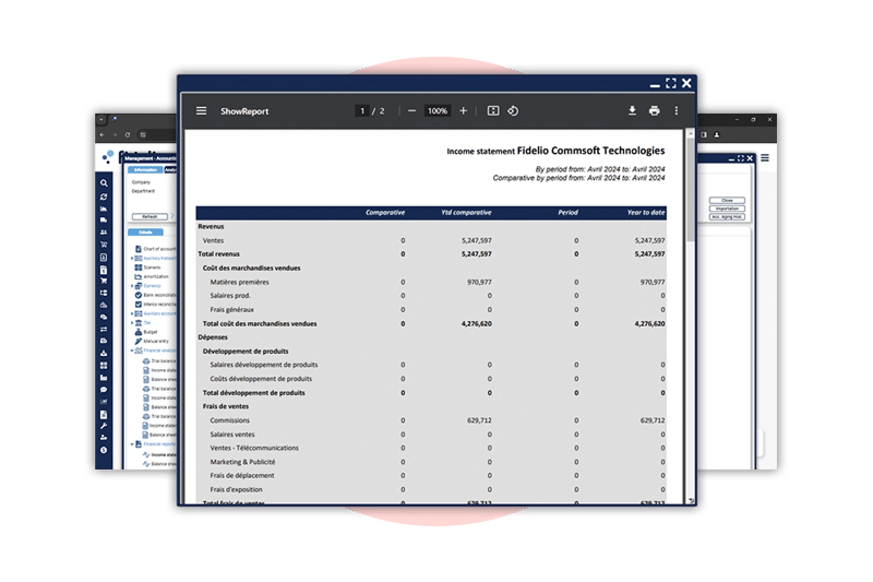 Fidelio Income statement