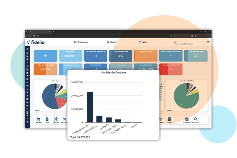 Fidelio Sales by Customer Interface