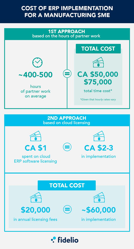 ERP Implementation Costs 