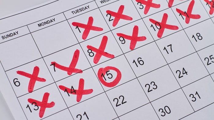 calendar