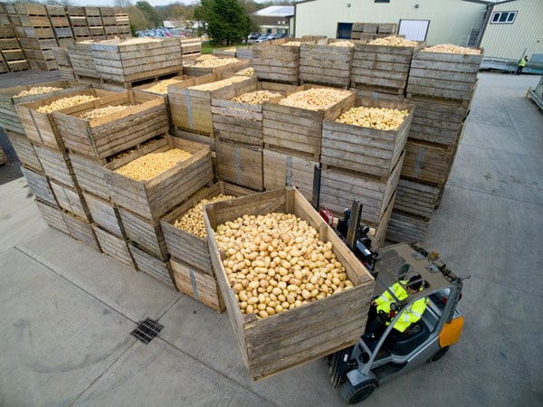forklift-potatoes