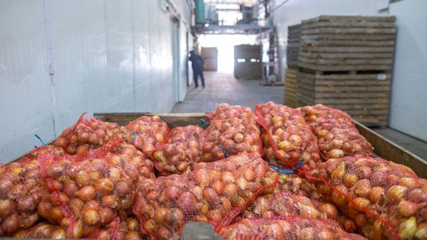 onion-storage-warehouse