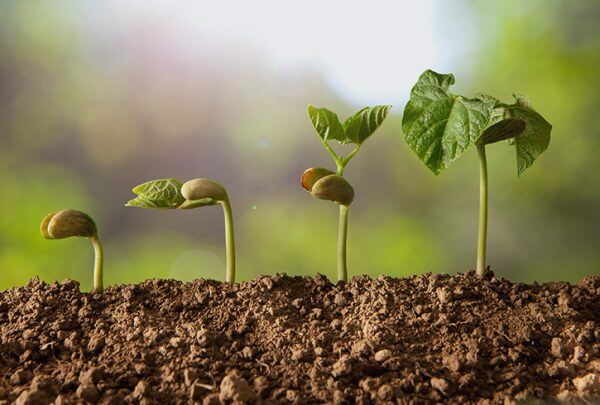 Comment Agro-100 a centralisé la gestion de tous ses processus et économisé 20% de temps avec Fidelio